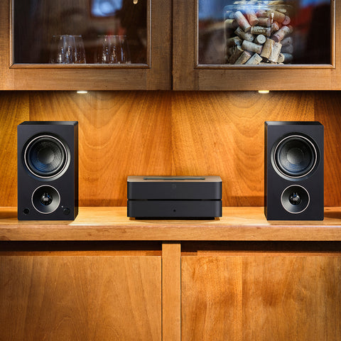 Alpha AM3 Black without grille on shelf with Bluesound Vault 2i