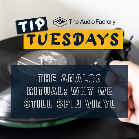 Tip Tuesdays: The Analog Ritual - Why We Still Spin Vinyl