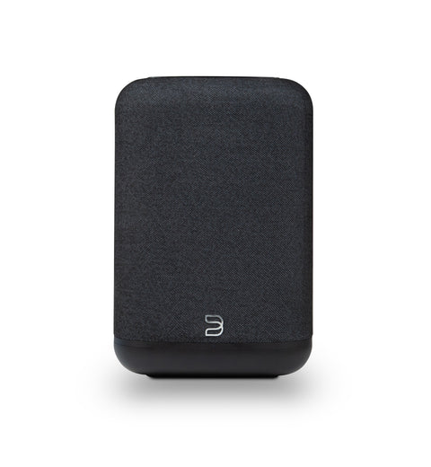 Bluesound Pulse Flex Wireless All-In-One Music Streaming Speaker (2025)